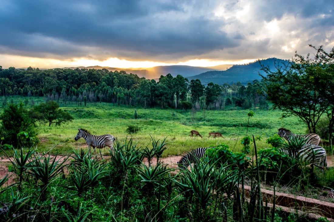 Eswatini — medical travel destination