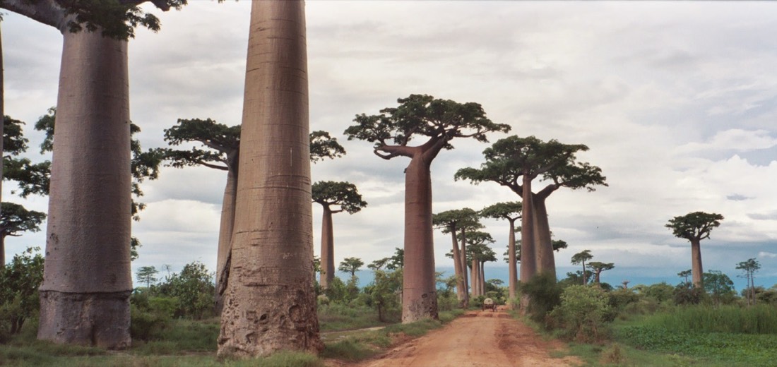 Madagascar — medical travel destination