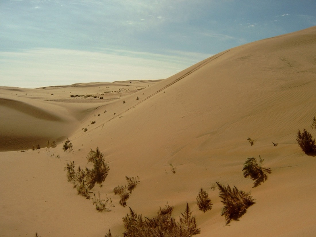 Mongolia — medical travel destination