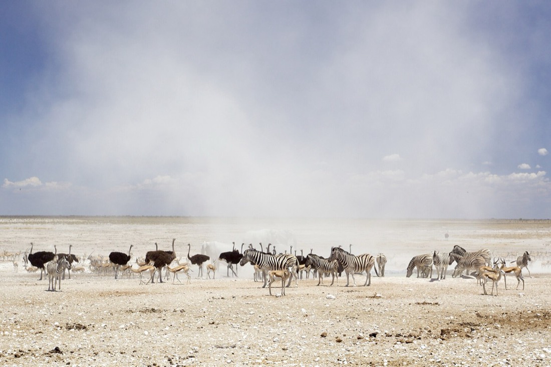 Namibia — medical travel destination