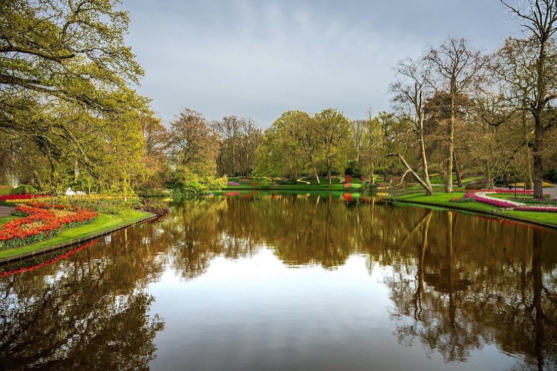 Netherlands — medical travel destination