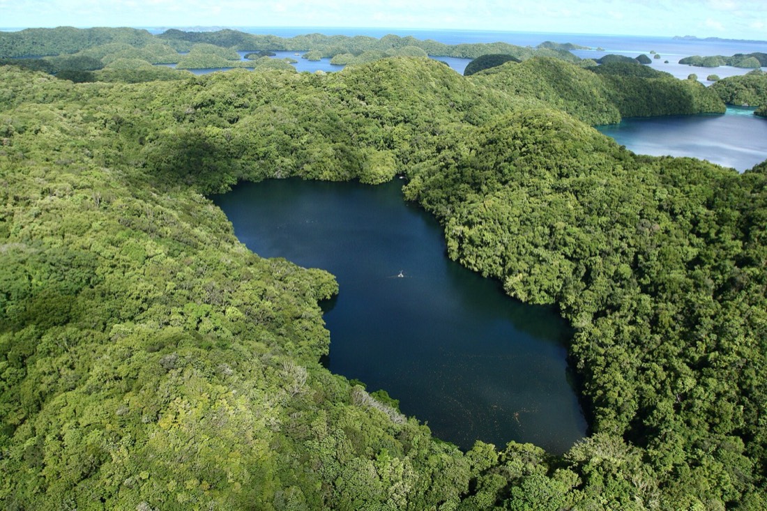 Palau — medical travel destination