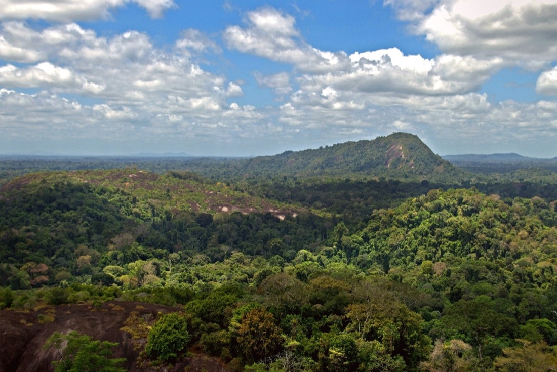 Suriname β medical travel destination