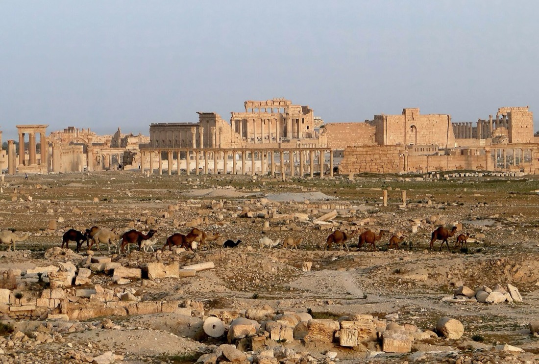 Syria — medical travel destination