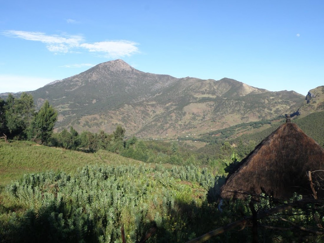 Timor-Leste — medical travel destination