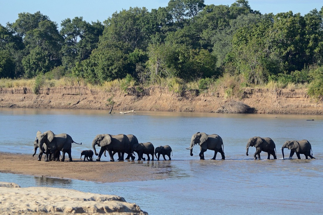 Zambia β medical travel destination