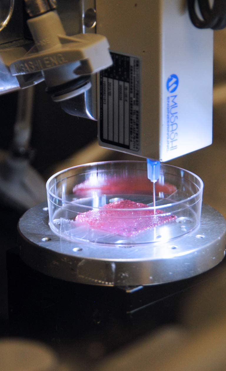 3d bioprinting skin turkey